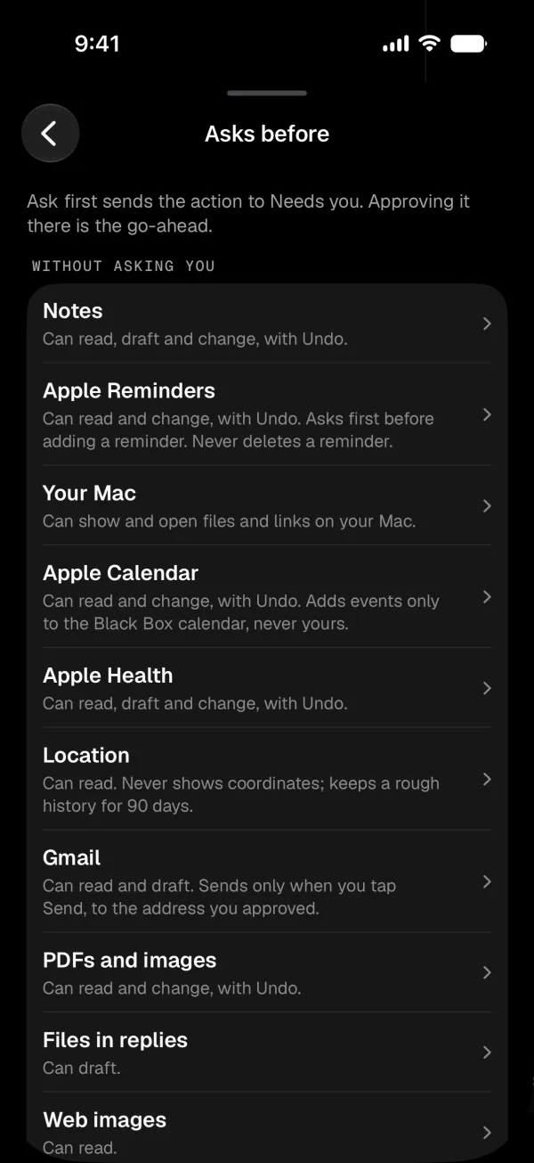 Settings: what Black Box asks before doing